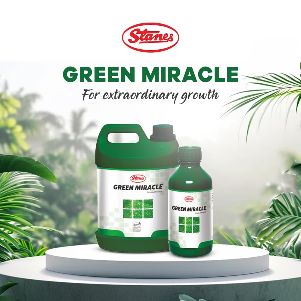 Green Miracle