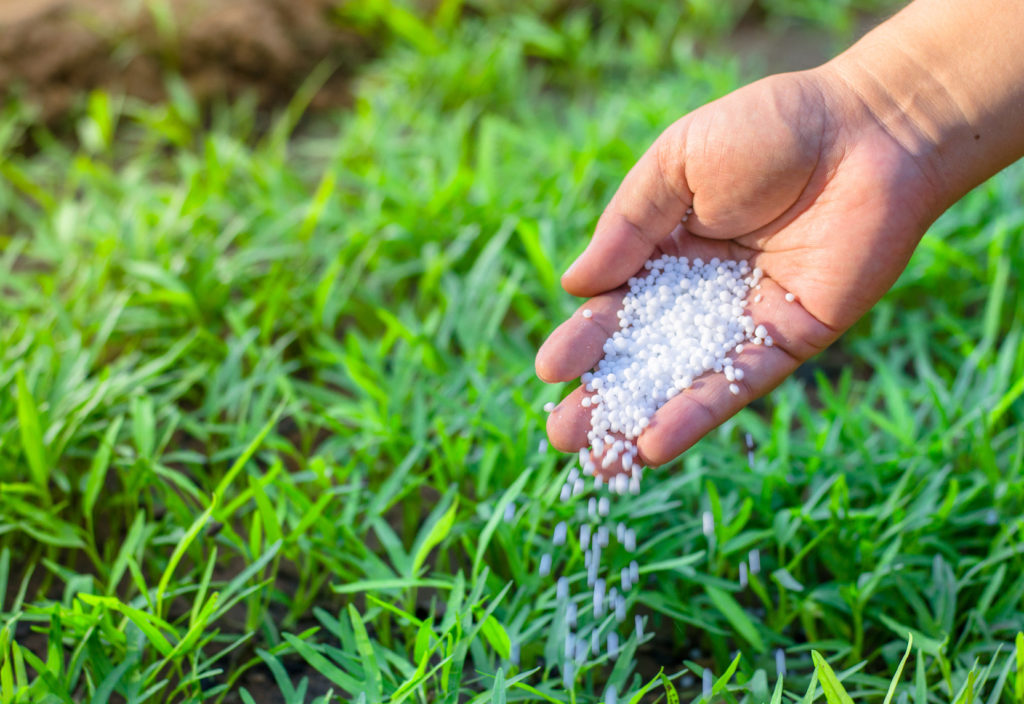 Fertilizer Image