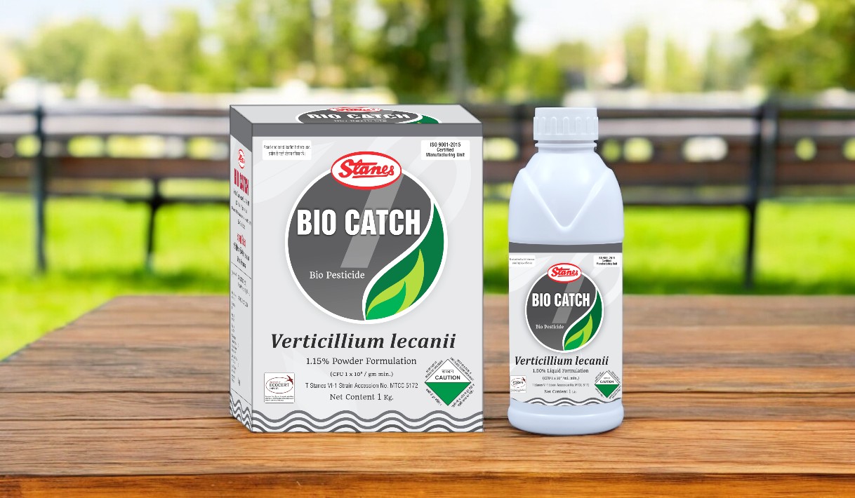 BioCatch