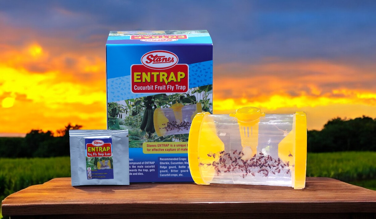 Entrap Cucurbit Fruit Fly Trap