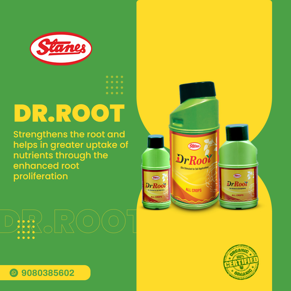 Dr. Root Image