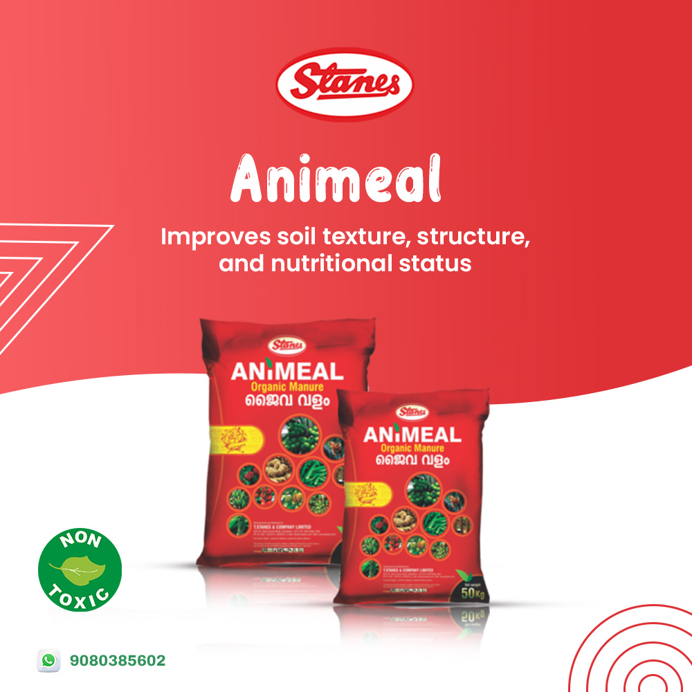 ANIMEAL Image