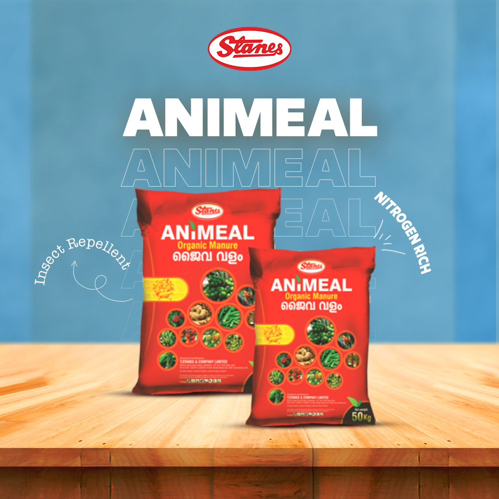 ANIMEAL Image