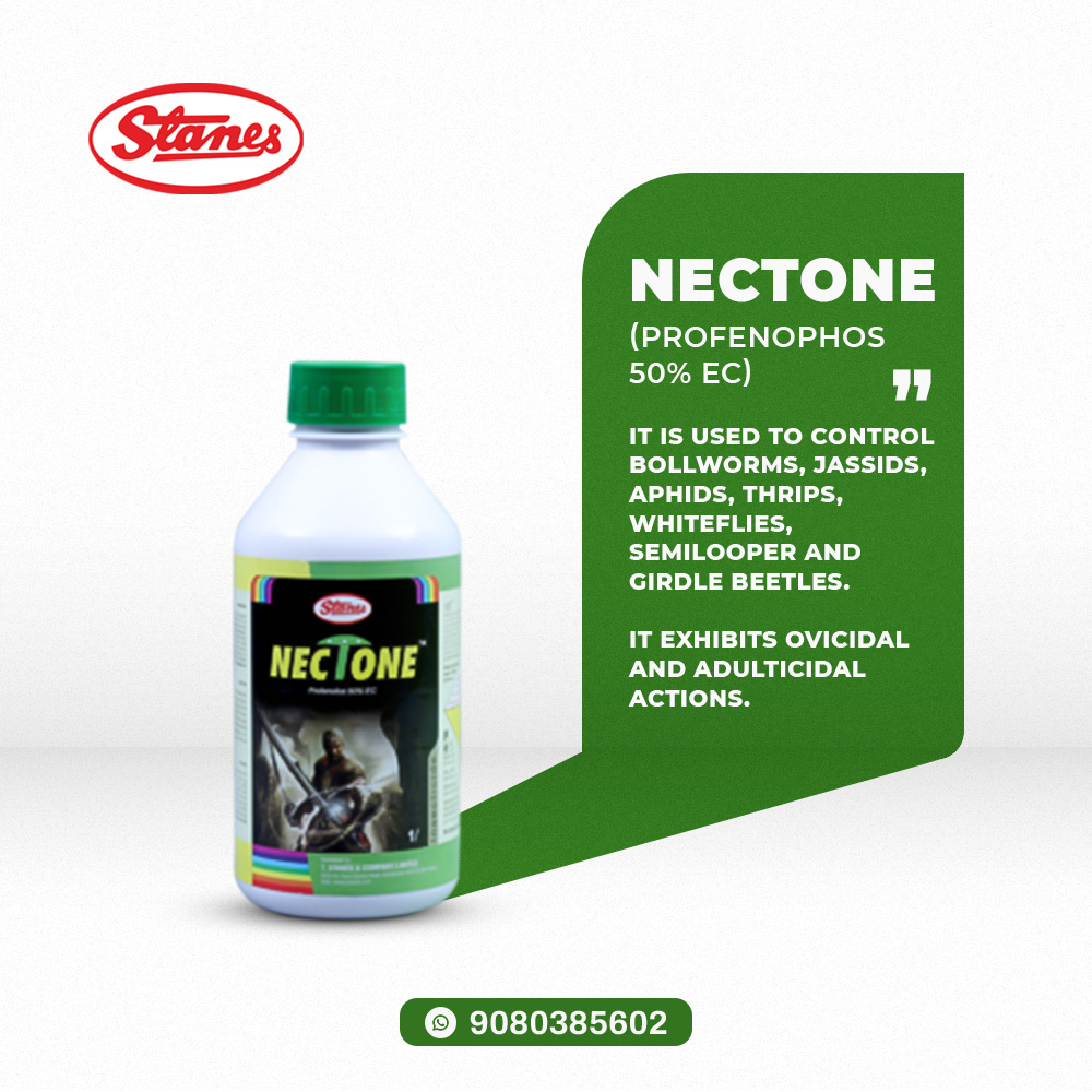 NECTONE Image