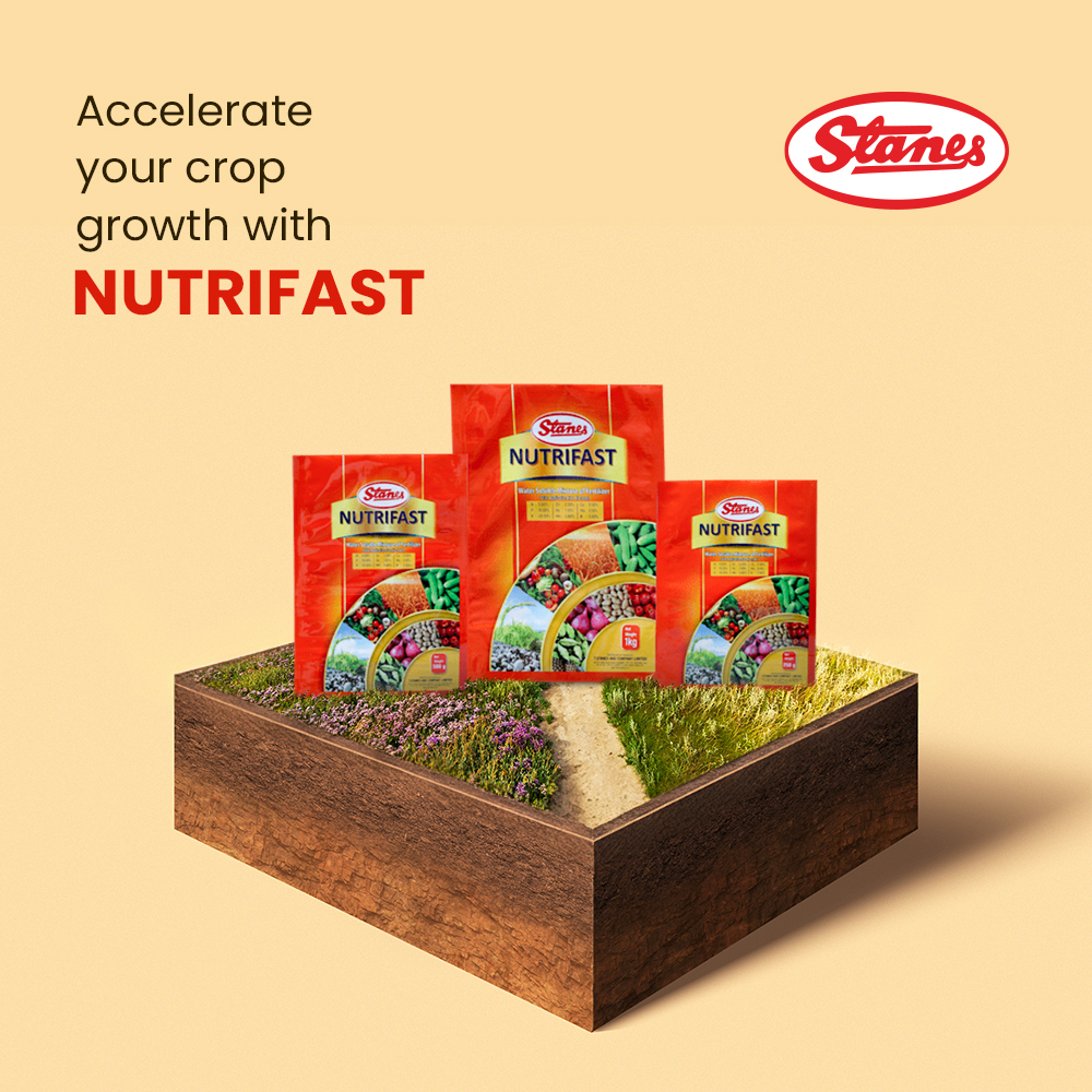 Nutrifast Image