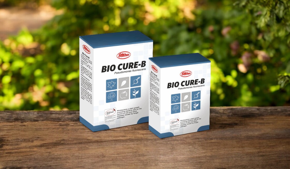 BIO CURE-B