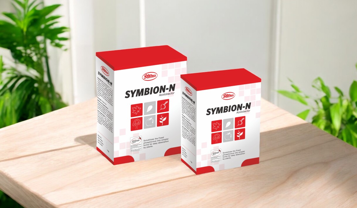 SYMBION-N