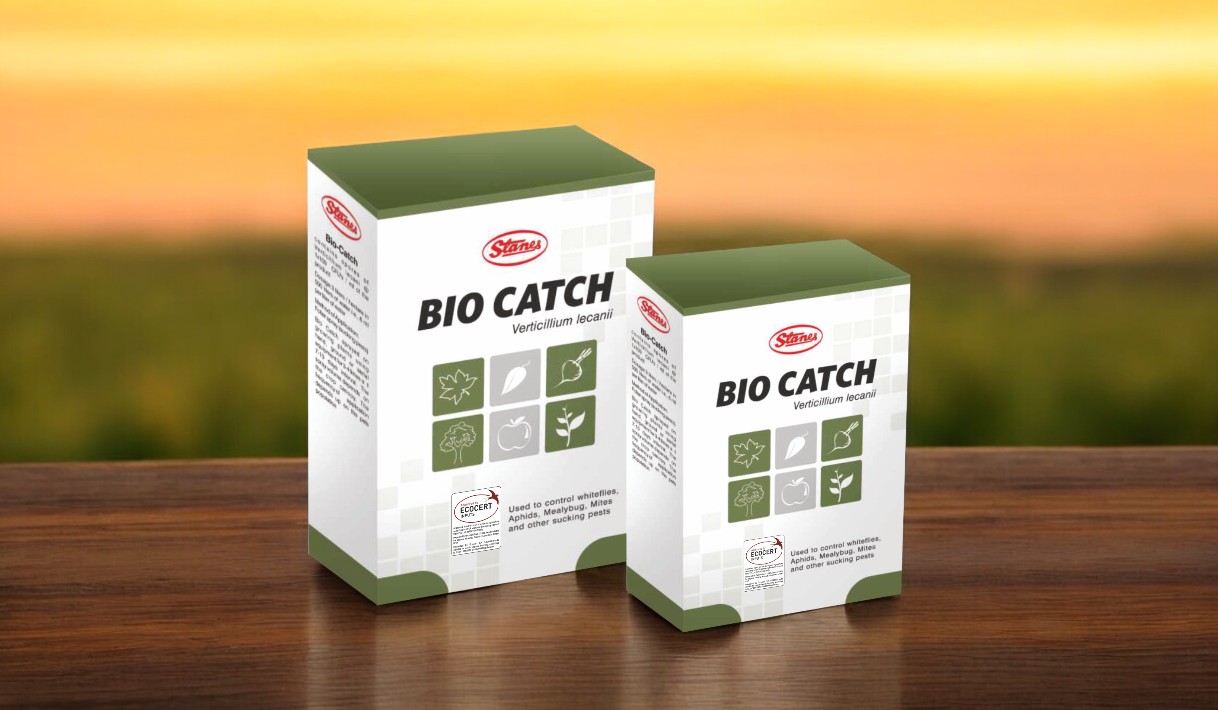 BIO CATCH