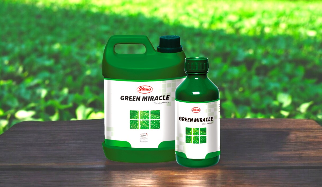 Green Miracle